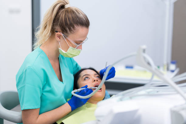 Best Emergency X-Rays and Diagnostics in Lampasas, TX